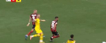 勒沃庫森2.gif