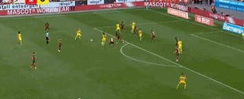 哈蘭德1.gif