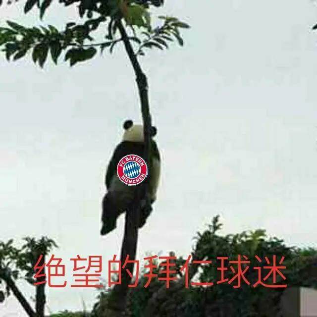 微信图片_20200229173319.jpg