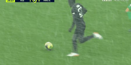 ste psg 4.gif