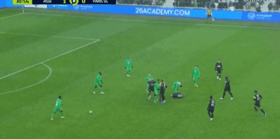 ste psg 5.gif