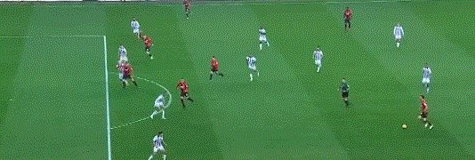 动画 (403).gif