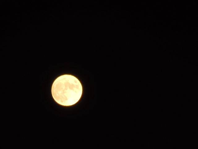 16-中秋节阿联酋的月亮特别圆.jpg