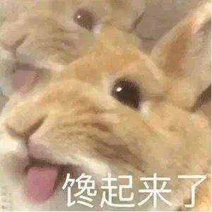 006mMMLigy1gssizsh4zfj308c08cwet.jpg
