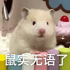 無語.gif
