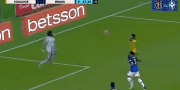 ecuador brasil 7.gif