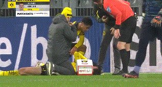 动画 (1316).gif