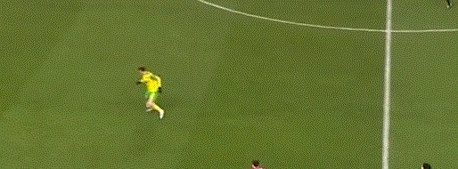动画 (1509).gif