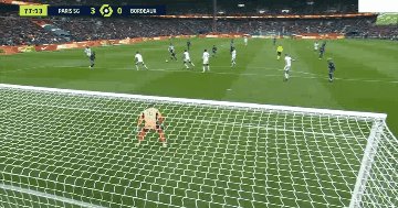 psg bor 8.gif