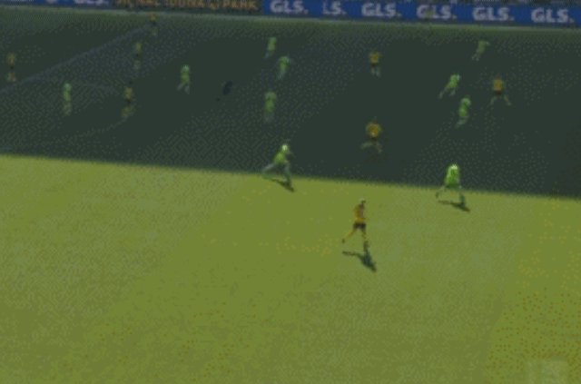多特06.gif