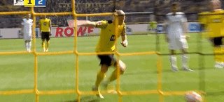 哈兰德1.gif