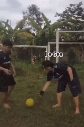 马圭尔.gif