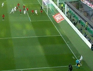 动画 (3035).gif