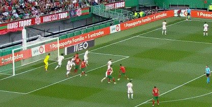 动画 (3040).gif