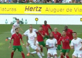 动画 (3036).gif