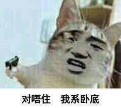 我是卧底.jpg