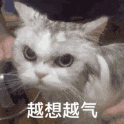 越想越气.gif