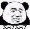 又來了.jpg