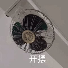 開擺.gif