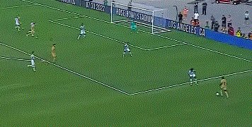 进球2.gif