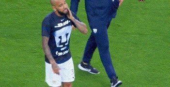 动画 (3323).gif