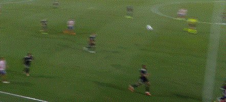 动画 (3335).gif