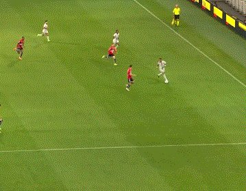 动画 (3469).gif