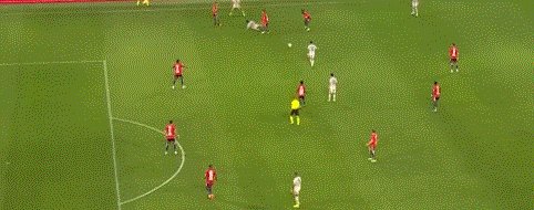 动画 (3464).gif