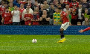 动画 (3494).gif
