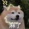 微信图片_20210604091828.gif