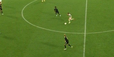 动画 (3699).gif