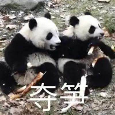 src=http___img.72qq.com_file_202103_26_8ce0a2e2cd.jpg&refer=http___img.72qq.webp.jpg