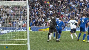 动画 (3853).gif