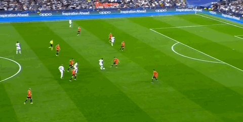 1665012491871051457.gif