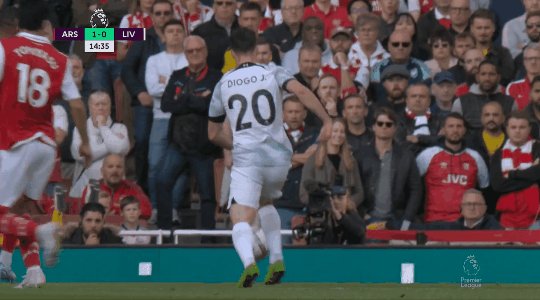 ars liv 5.gif