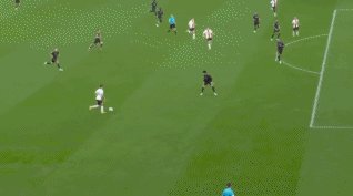 1666568524288040427.gif