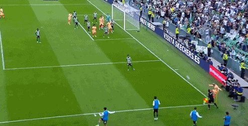 1666568501337095384.gif