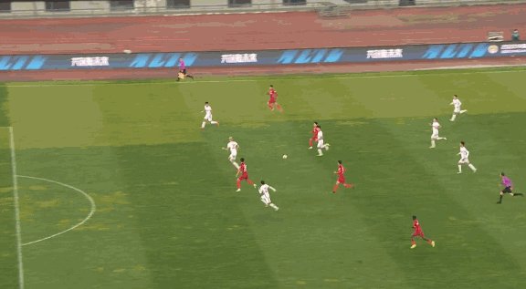 刘柏杨1.gif