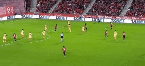 穆里奇.gif