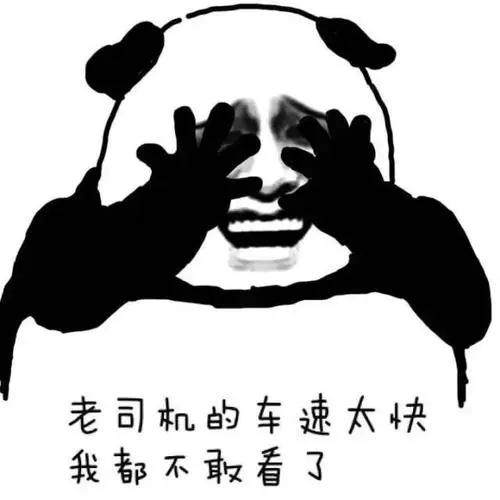 图片1 车速太快 表情包 图片1.webp.jpg