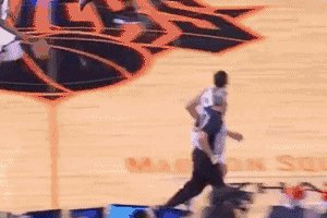 普尔.gif