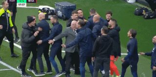德澤爾比3.gif