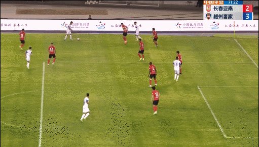 杨超声2.gif