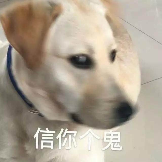 微信圖片_20221206163258.jpg