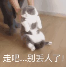 丟人.gif