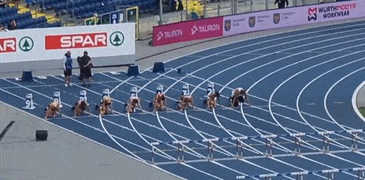 比利时.gif