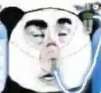 src=http___c-ssl.duitang.com_uploads_item_202004_06_20200406034436_5SnA8.thumb.400_0.jpg&refer=http___c-ssl.duitang.webp.jpg