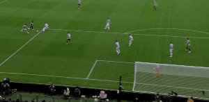 juv laz 2.gif