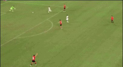 平科.gif