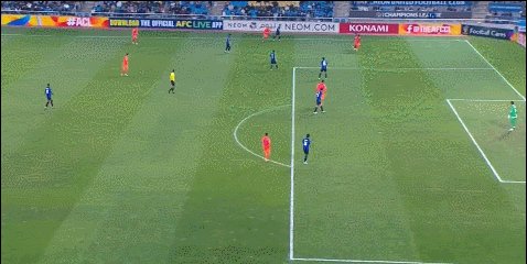 费莱尼.gif